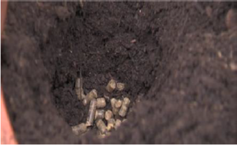 Pellets de Nutrilana colocados en un hoyo de plantación