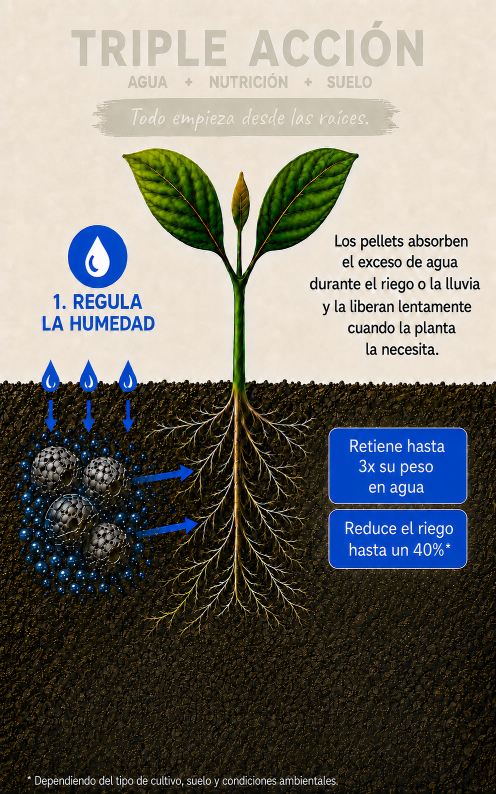NUTRILANA regula la humedad